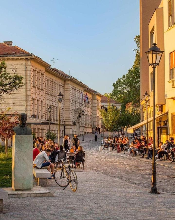 Quince Apartment-Free Parking-City Center Белград Екстериор снимка